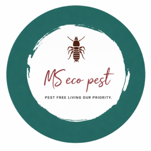 ChatGPT Image Jan 30, 2026, 04_54_58 PM