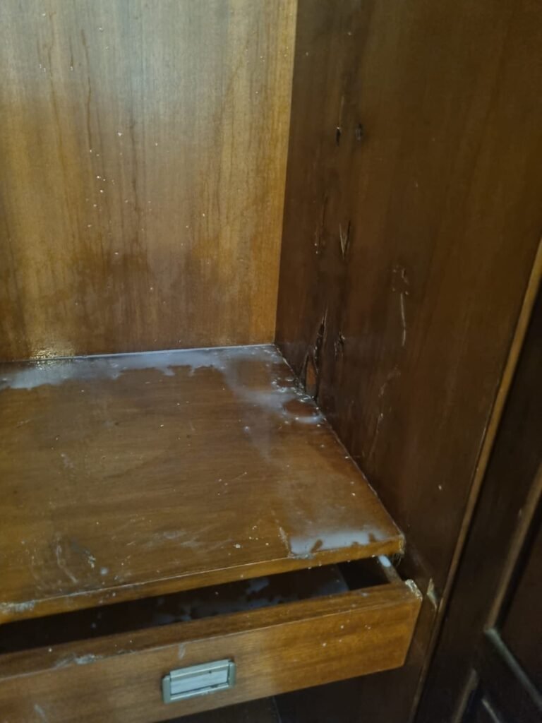 WhatsApp Image 2026-01-22 at 12.22.07 PM