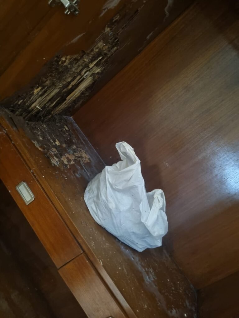 WhatsApp Image 2026-01-22 at 12.22.08 PM